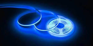 Ecola LED strip PRO 14W/m 24V IP20 10mm COB 512Led/m Blue ������������ ����� �� ������� 5�. 