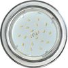 Ecola GX53 H4 DL3901 ���������� �������. ��� ����. ���� ��� ������� ����� ����� / ���� 106�38 (�+)