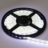 Ecola LED strip PRO 14.4W/m 12V IP65 10mm 60Led/m 6000K 18Lm/LED 1080Lm/m ������������ ����� �� ������� 5�.