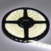 Ecola LED strip PRO 14.4W/m 12V IP65 10mm 60Led/m 4200K 18Lm/LED 1080Lm/m ������������ ����� �� ������� 5�.