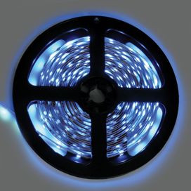Ecola LED strip 220V STD 14,4W/m IP68 14x7 60Led/m Blue ����� ����� 10�.