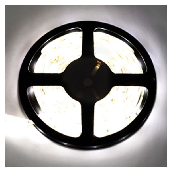 Ecola LED strip 220V STD 14,4W/m IP68 14x7 60Led/m 6000K 12Lm/LED 720Lm/m ����� 20�.