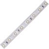 Ecola LED strip 220V STD 4,8W/m IP68 12x7 60Led/m 6000K 4Lm/LED 240Lm/m ����� �� ������� 100�.