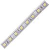 Ecola LED strip 220V STD 14,4W/m IP68 14x7 60Led/m 6000K 12Lm/LED 720Lm/m ����� �� ������� 100�.