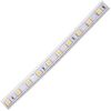 Ecola LED strip 220V STD 14,4W/m IP68 14x7 60Led/m 2800K 12Lm/LED 720Lm/m ����� �� ������� 100�.
