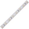 Ecola LED strip 220V STD 4,8W/m IP68 12x7 60Led/m 2800K 4Lm/LED 240Lm/m ����� �� ������� 50�.
